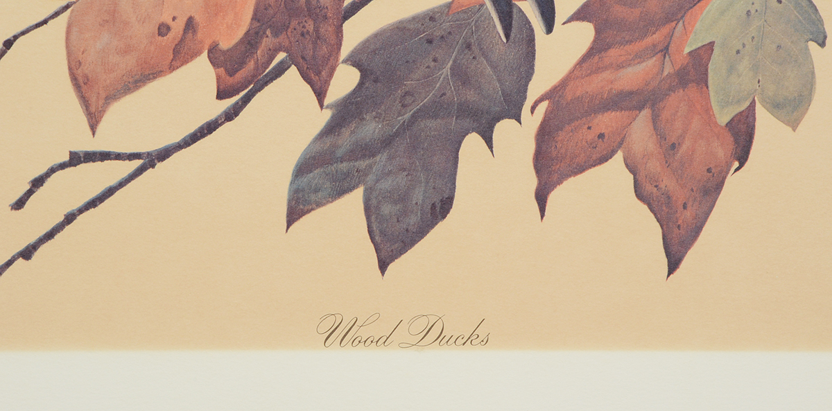 John Ruthven Signed 1968 Limited Edition Offset Lithograph "Wood Ducks"