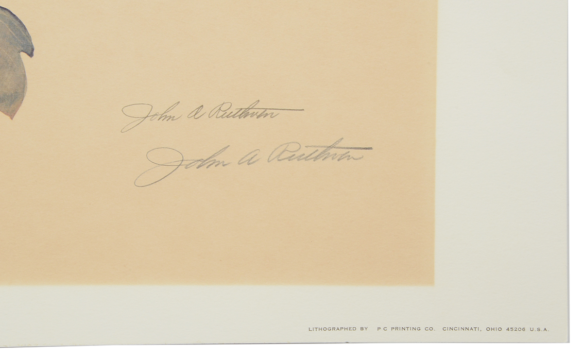 John Ruthven Signed 1968 Limited Edition Offset Lithograph "Wood Ducks"