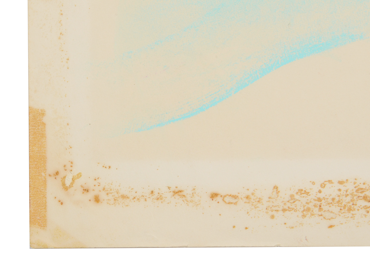 Ken Ozier Original Pastel Drawing of a Salmon