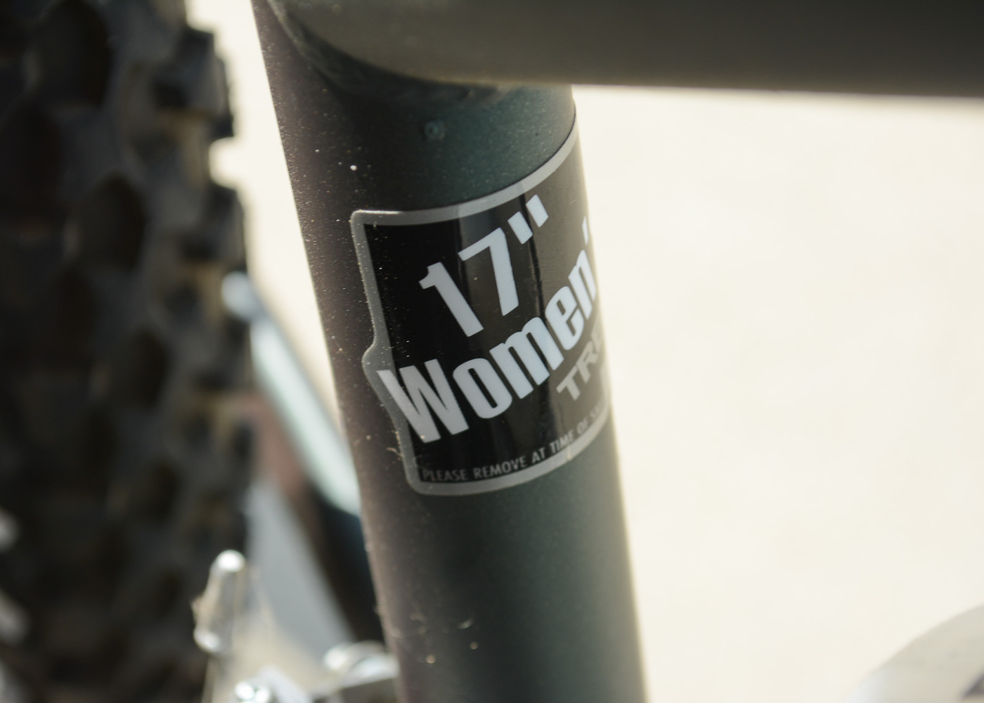 Trek Mountain Track 820 Women's Bicycle