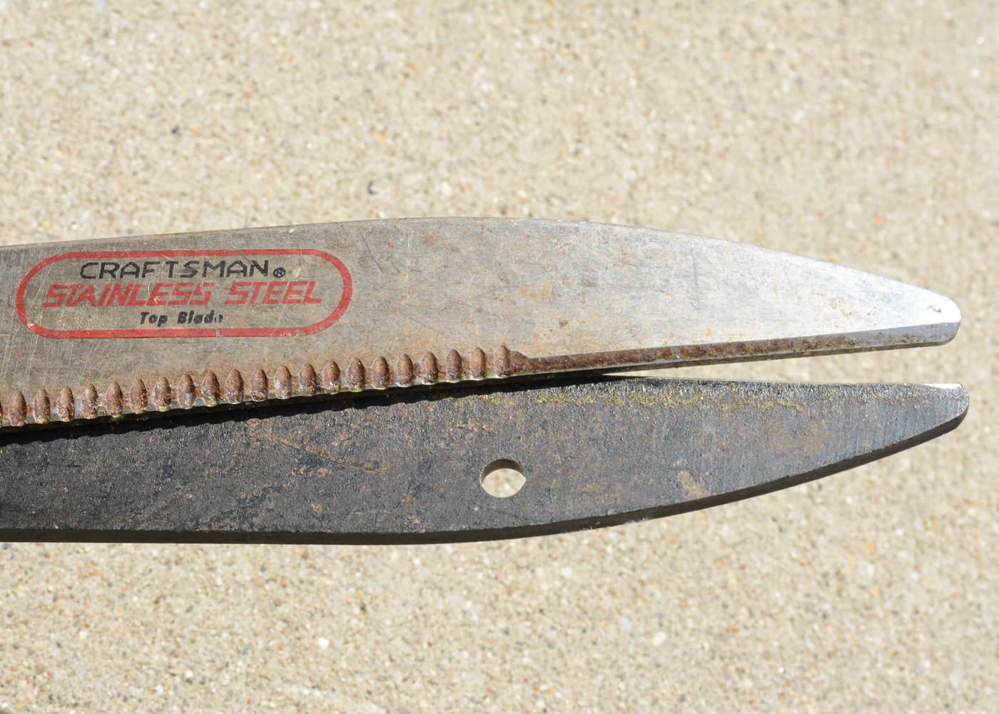 Large Assortment of Gardening Tools