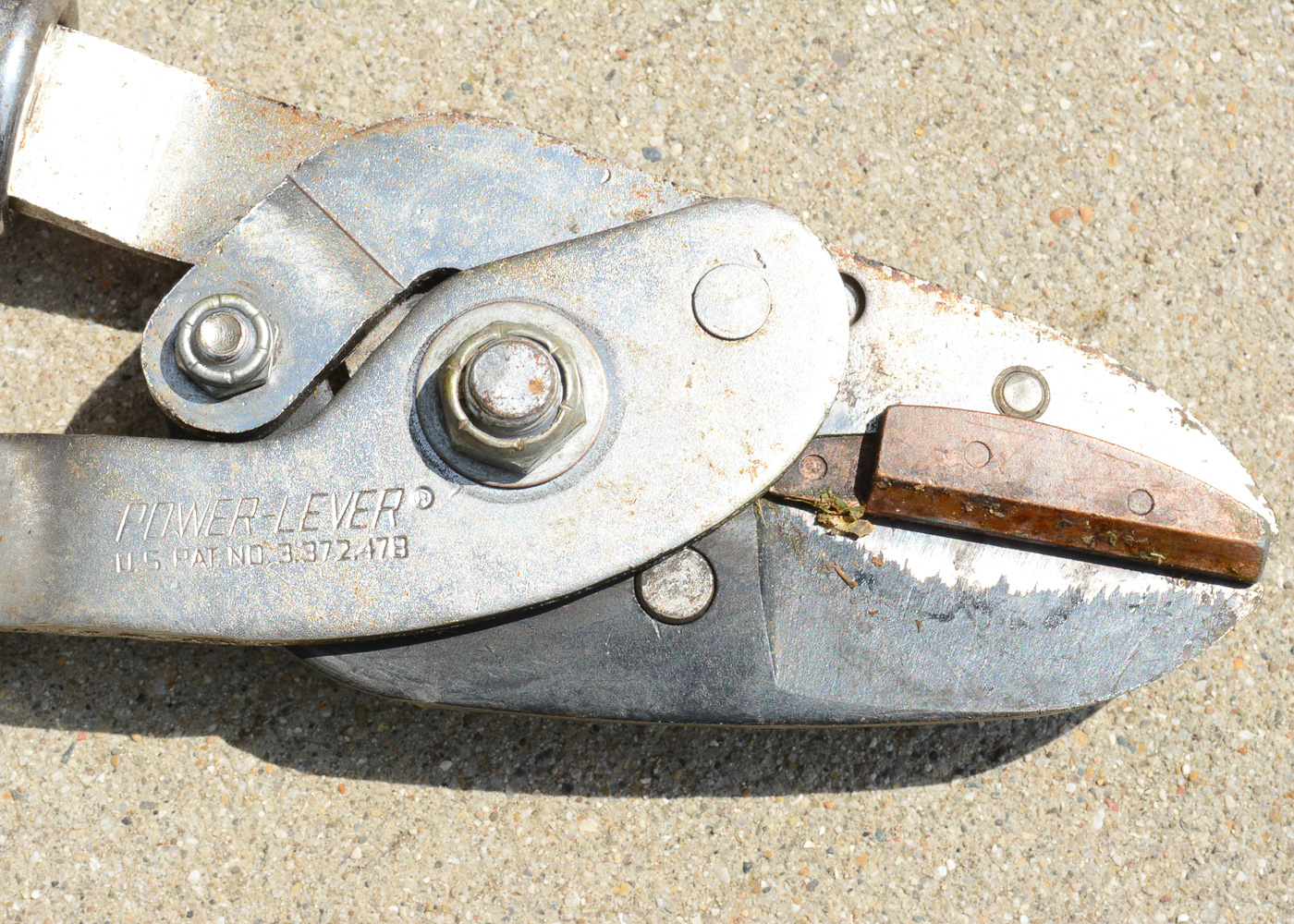 Large Assortment of Gardening Tools