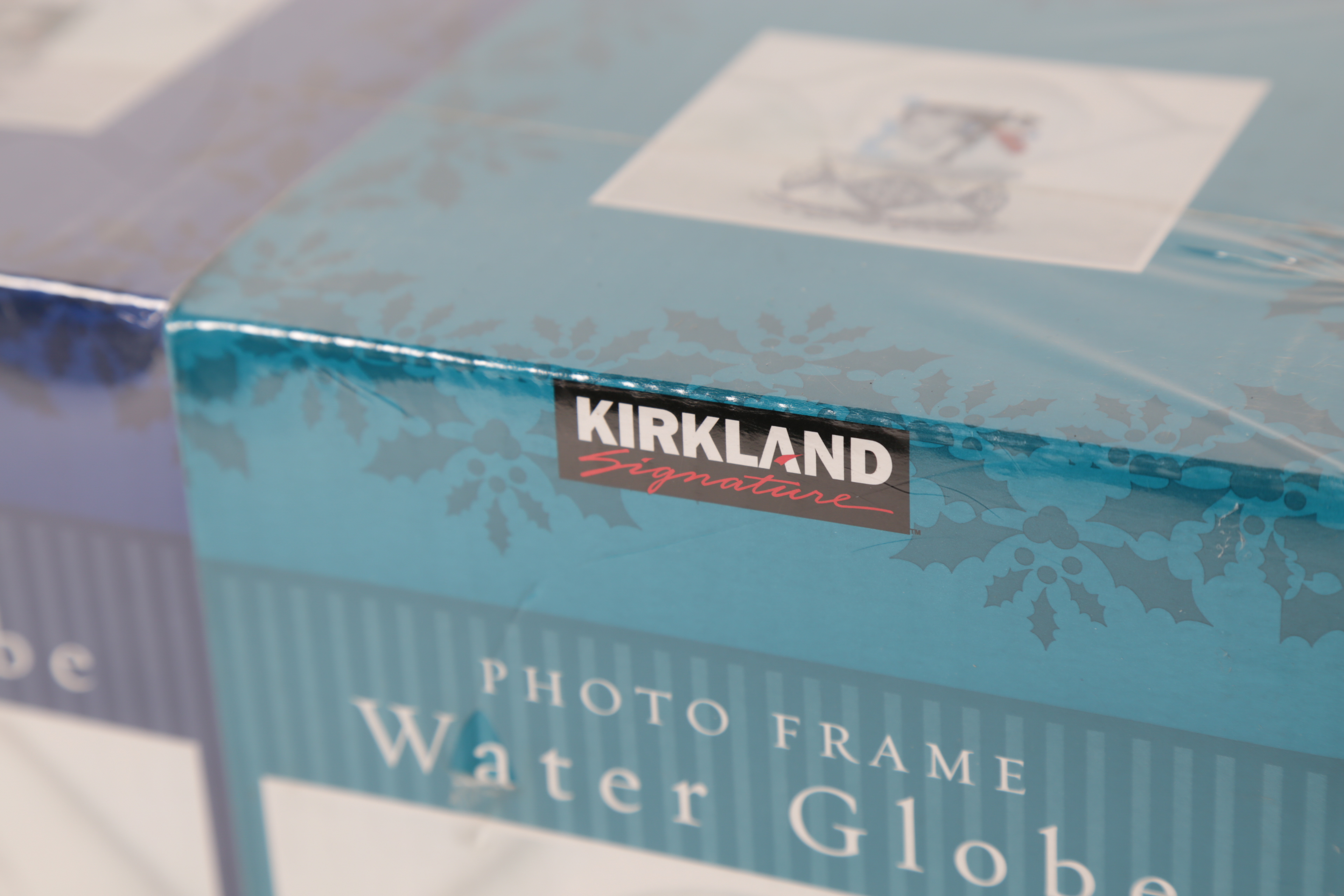 Christmas Water Globe Frames and Night Lights