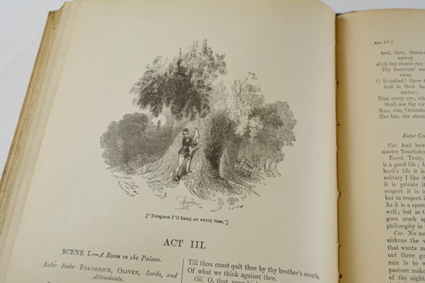 Antique "The Pictorial Edition of the Works of Shakspere" Hardcover Books