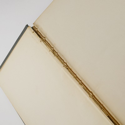 Antique "The Pictorial Edition of the Works of Shakspere" Hardcover Books