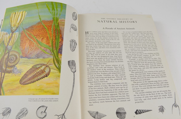 First Edition "The Golden Treasury of Natural History"