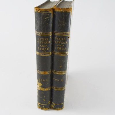 Antique 1879 Thomas Meehan "The Native Flowers and Ferns of the United States" Hardcover Books Vol. I&II