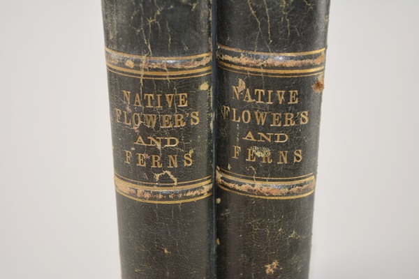 Antique 1879 Thomas Meehan "The Native Flowers and Ferns of the United States" Hardcover Books Vol. I&II