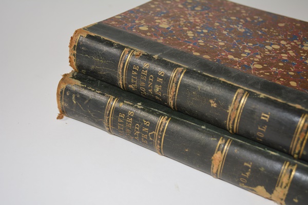 Antique 1879 Thomas Meehan "The Native Flowers and Ferns of the United States" Hardcover Books Vol. I&II