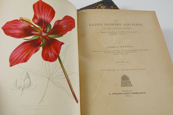 Antique 1879 Thomas Meehan "The Native Flowers and Ferns of the United States" Hardcover Books Vol. I&II