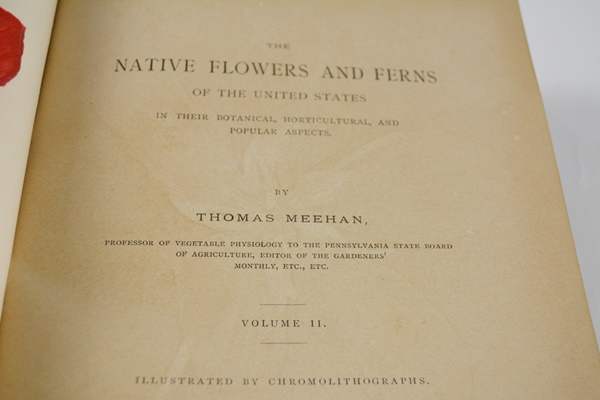 Antique 1879 Thomas Meehan "The Native Flowers and Ferns of the United States" Hardcover Books Vol. I&II