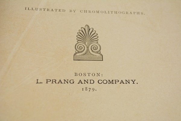 Antique 1879 Thomas Meehan "The Native Flowers and Ferns of the United States" Hardcover Books Vol. I&II