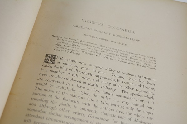 Antique 1879 Thomas Meehan "The Native Flowers and Ferns of the United States" Hardcover Books Vol. I&II