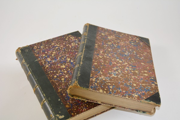 Antique 1879 Thomas Meehan "The Native Flowers and Ferns of the United States" Hardcover Books Vol. I&II