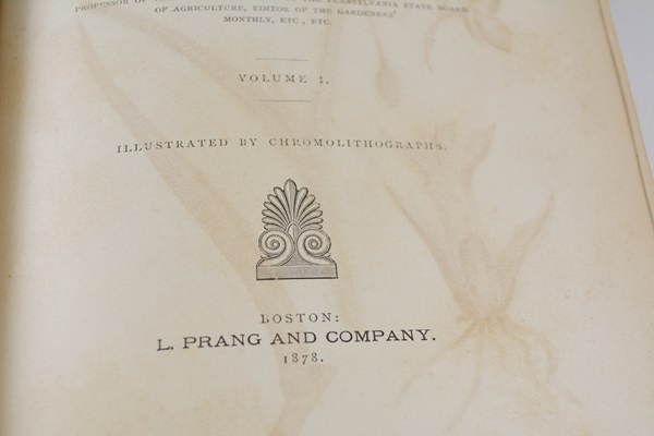 Antique 1879 Thomas Meehan "The Native Flowers and Ferns of the United States" Hardcover Books Vol. I&II