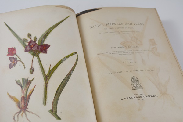Antique 1879 Thomas Meehan "The Native Flowers and Ferns of the United States" Hardcover Books Vol. I&II