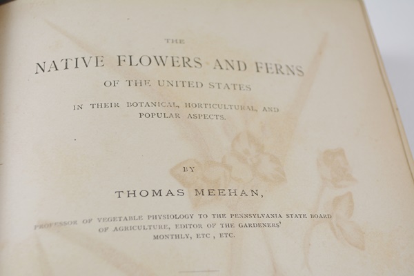 Antique 1879 Thomas Meehan "The Native Flowers and Ferns of the United States" Hardcover Books Vol. I&II