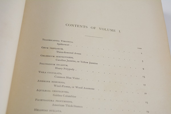 Antique 1879 Thomas Meehan "The Native Flowers and Ferns of the United States" Hardcover Books Vol. I&II