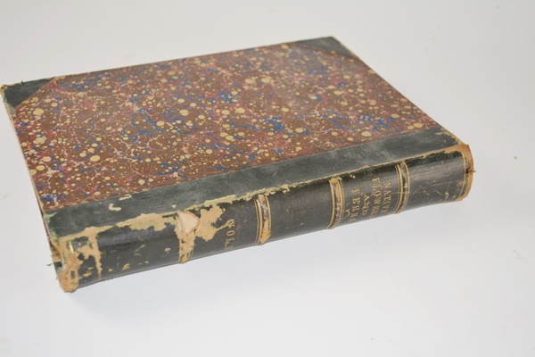 Antique 1879 Thomas Meehan "The Native Flowers and Ferns of the United States" Hardcover Books Vol. I&II