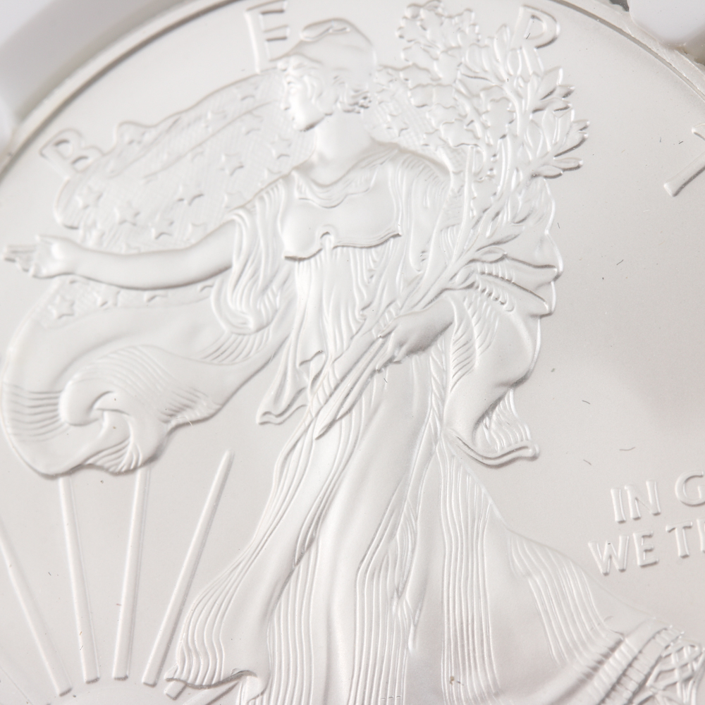 Graded MS 69 (by NGC) Early Release 2013 Silver Eagle Dollar