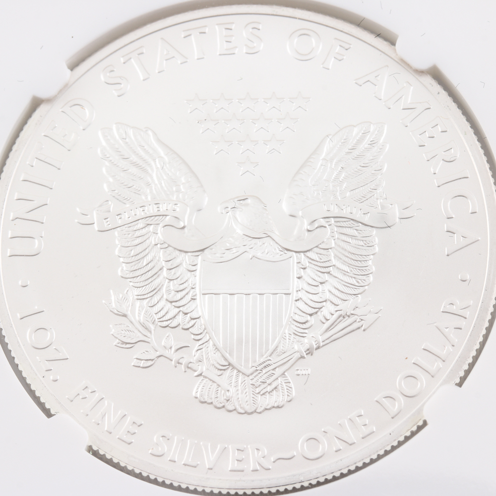 Graded MS 69 (by NGC) Early Release 2013 Silver Eagle Dollar