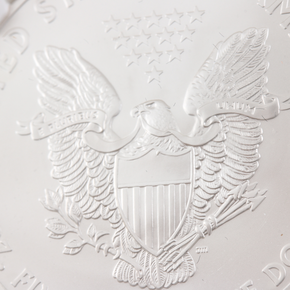 Graded MS 69 (by NGC) Early Release 2013 Silver Eagle Dollar