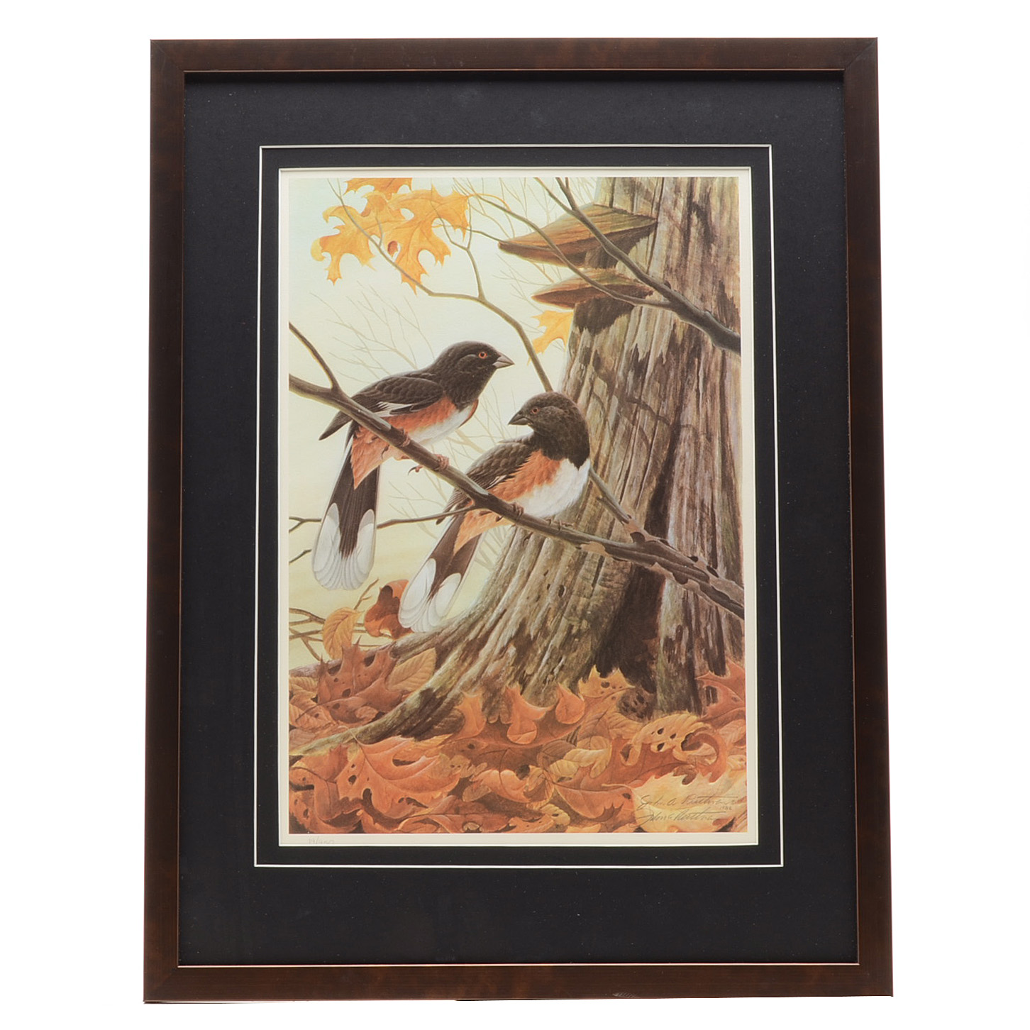 John Ruthven Signed Limited Edition Offset Lithograph "Rufous-sided Towhees"