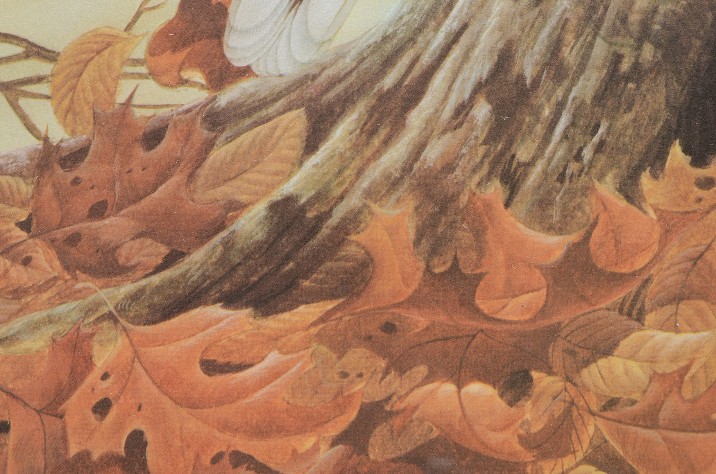 John Ruthven Signed Limited Edition Offset Lithograph "Rufous-sided Towhees"