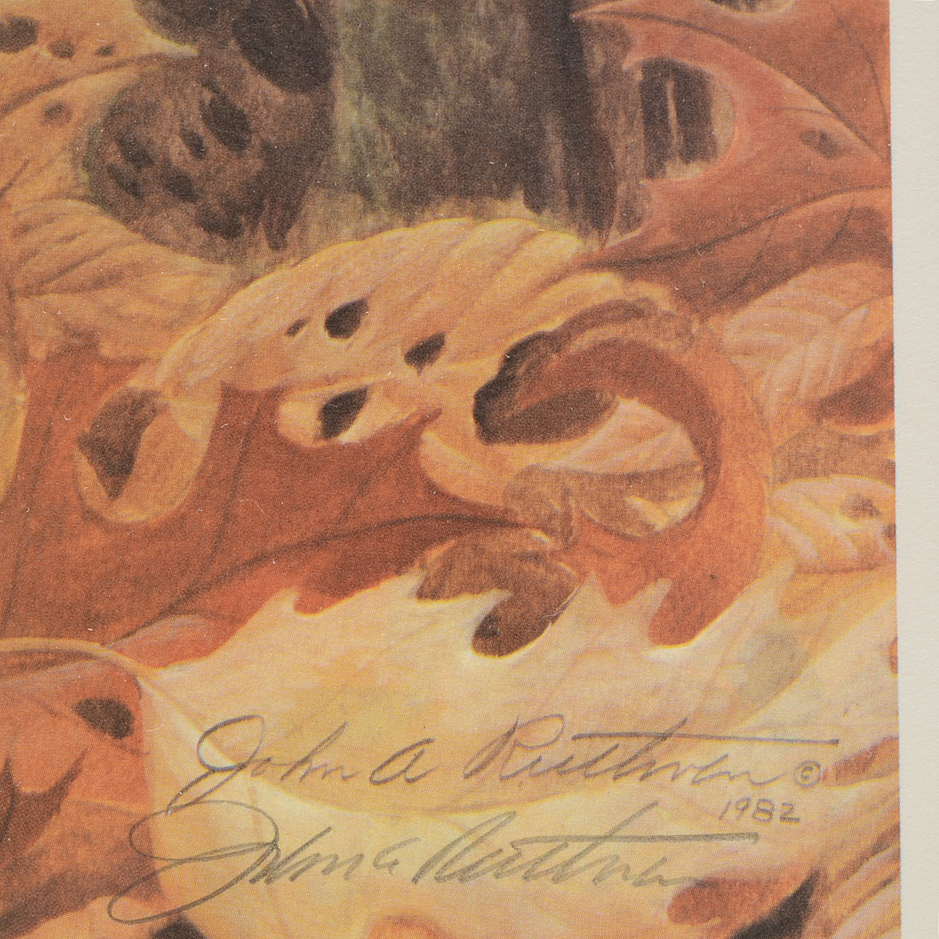 John Ruthven Signed Limited Edition Offset Lithograph "Rufous-sided Towhees"