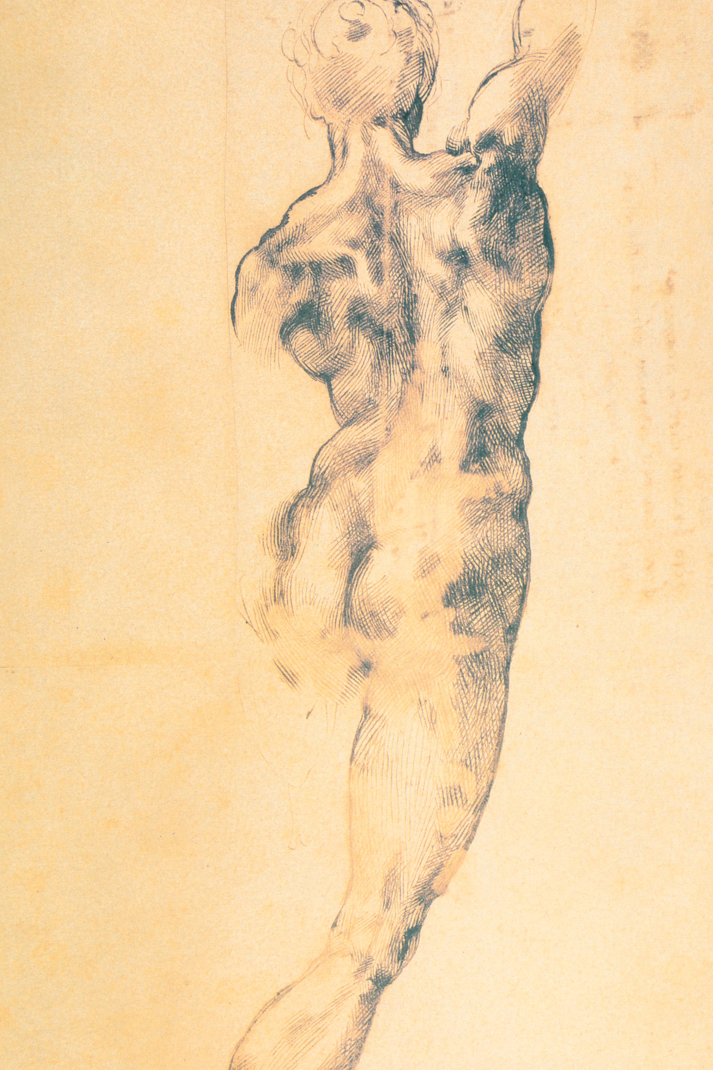 Offset Lithograph After Detail From Michelangelo's "A Male Figure Seen from Behind"