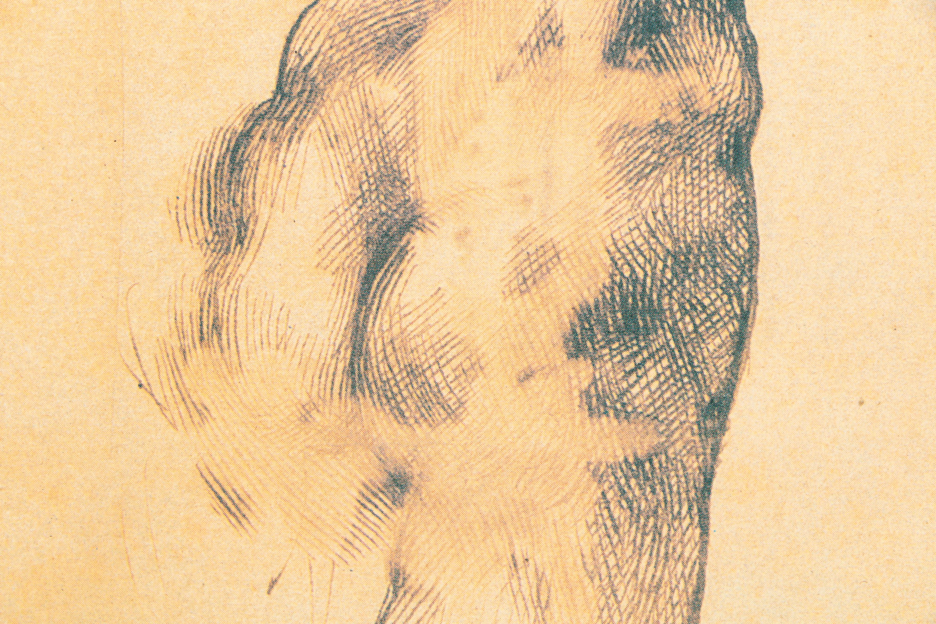 Offset Lithograph After Detail From Michelangelo's "A Male Figure Seen from Behind"