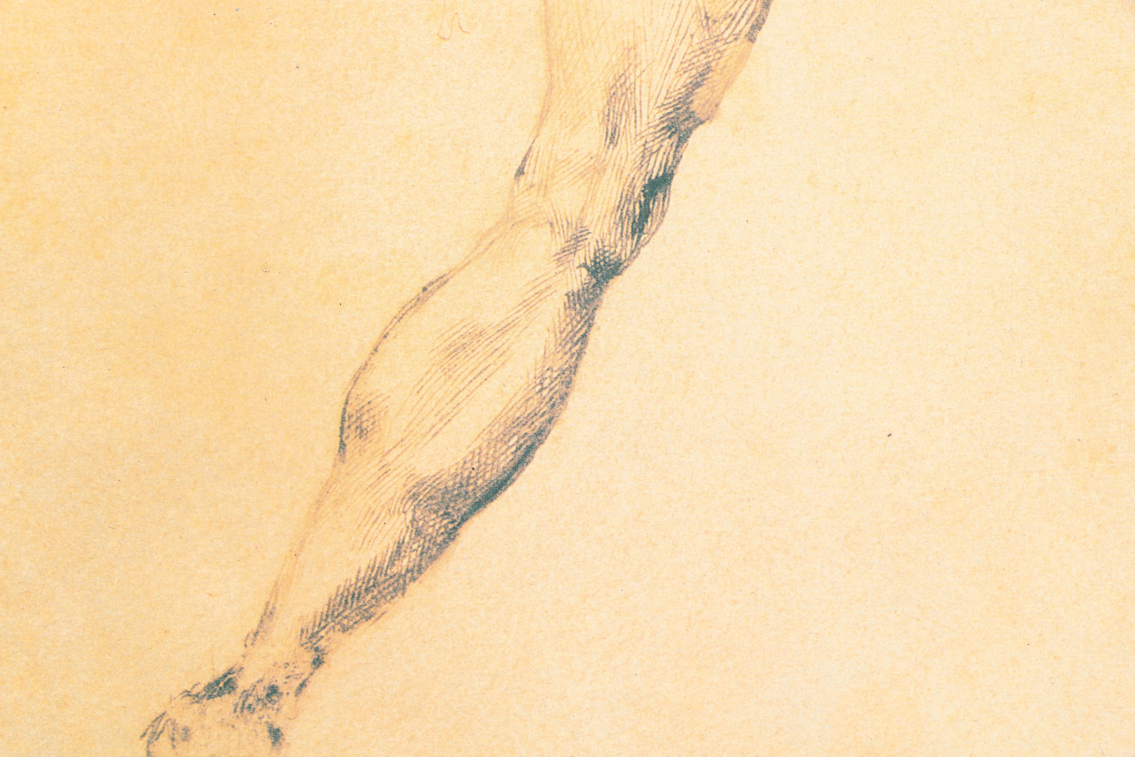 Offset Lithograph After Detail From Michelangelo's "A Male Figure Seen from Behind"