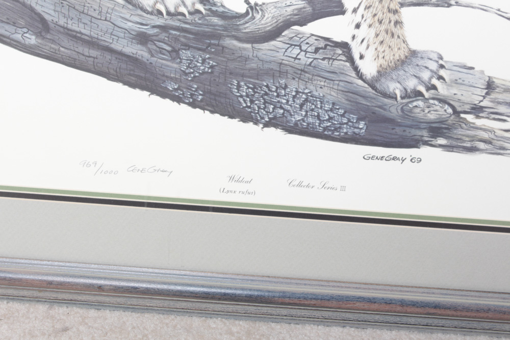 Gene Gray Limited Edition Wildlife Prints