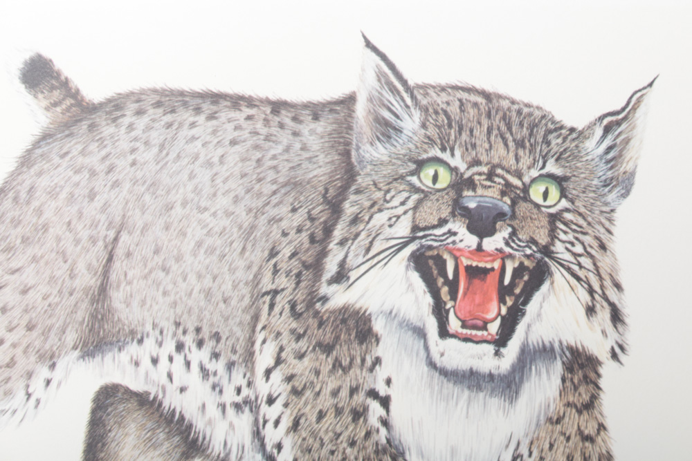 Gene Gray Limited Edition Wildlife Prints