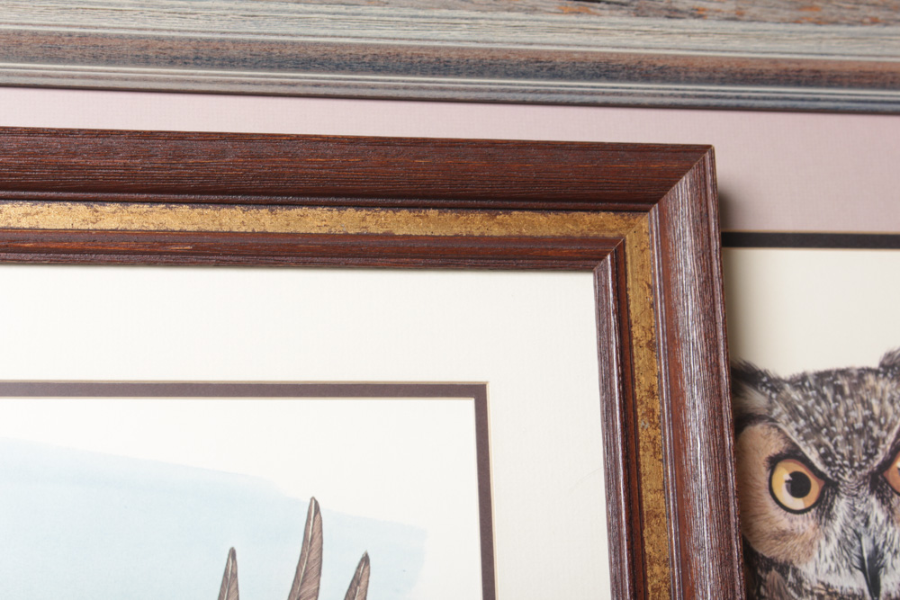 Gene Gray Limited Edition Wildlife Prints