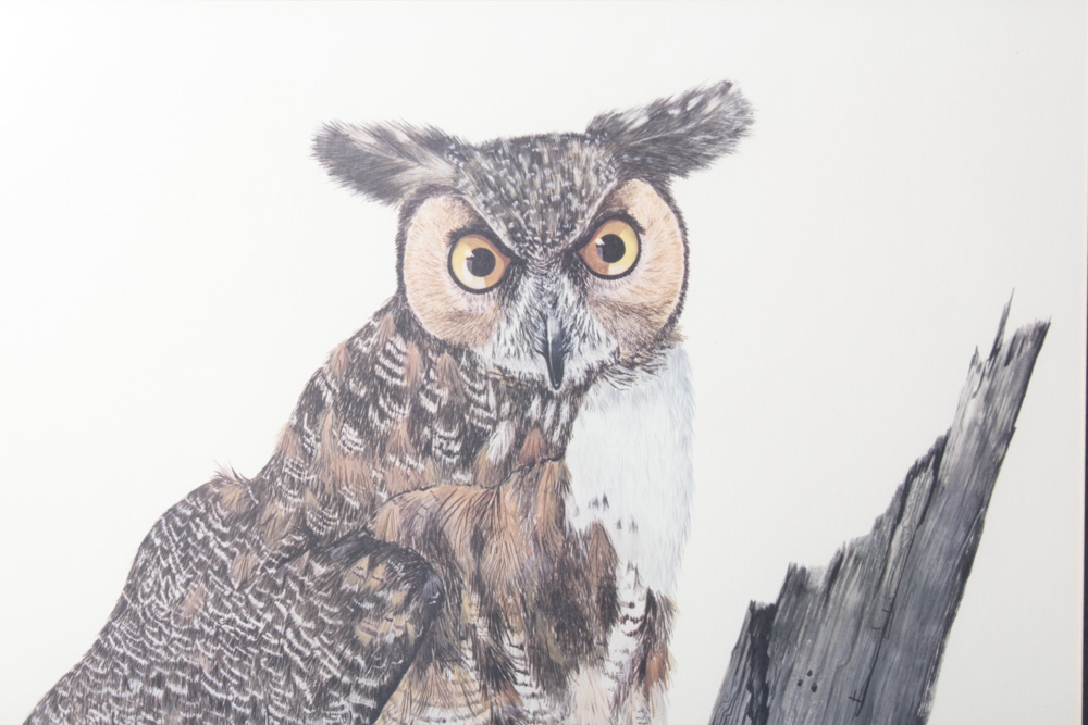 Gene Gray Limited Edition Wildlife Prints