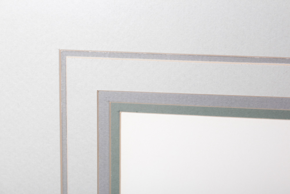 Gene Gray Limited Edition Wildlife Prints