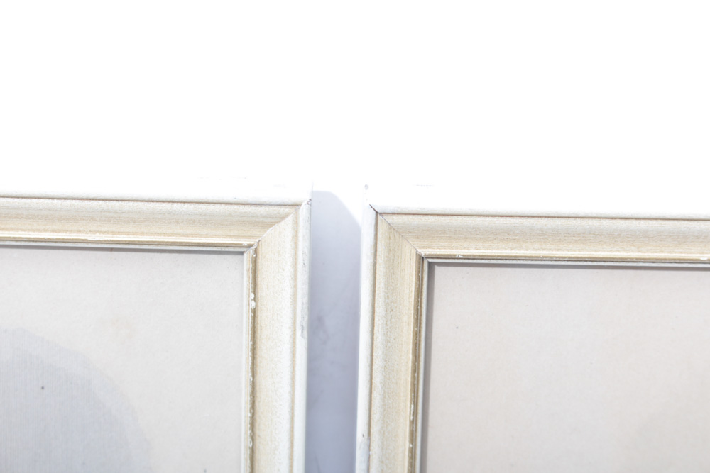 Mode Illustree Antique Vintage Reproduction Lithographs