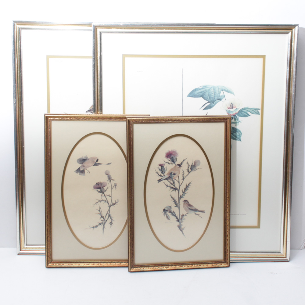 Ray Harm Bird Prints and More