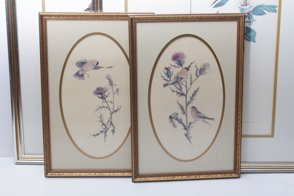 Ray Harm Bird Prints and More