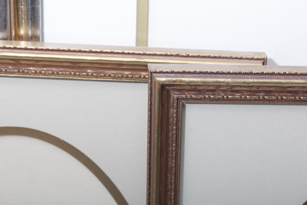 Ray Harm Bird Prints and More