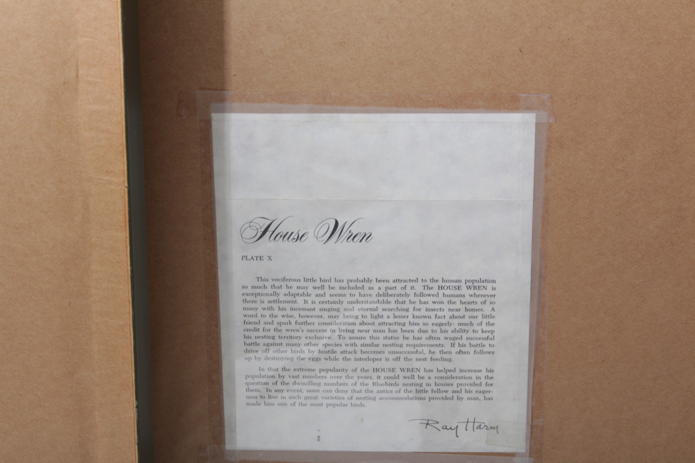 Ray Harm Bird Prints and More