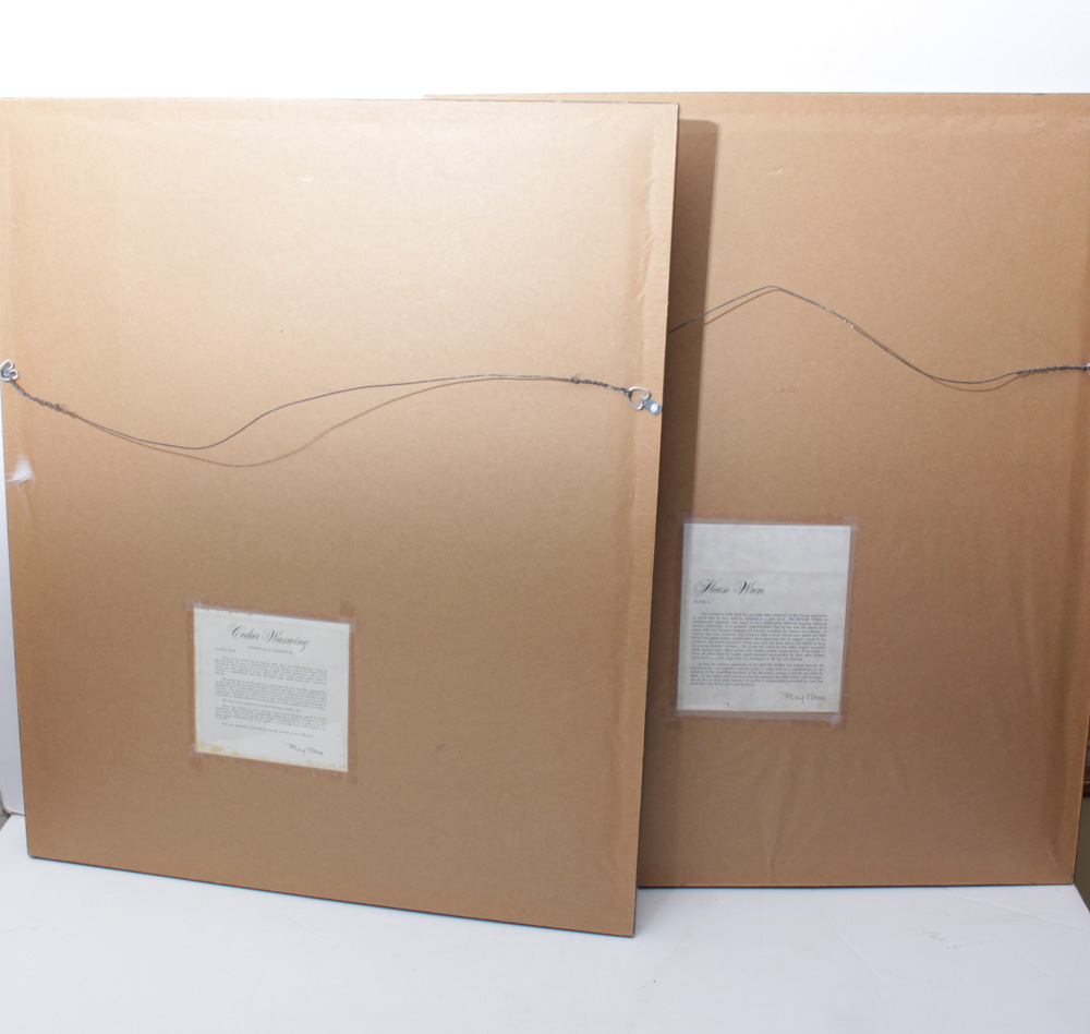 Ray Harm Bird Prints and More