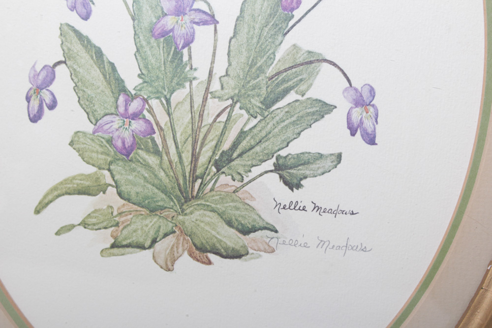 Framed Floral Artwork Collection