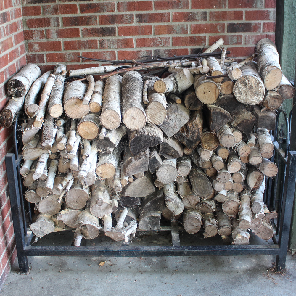 Birch Wood in Metal Holder