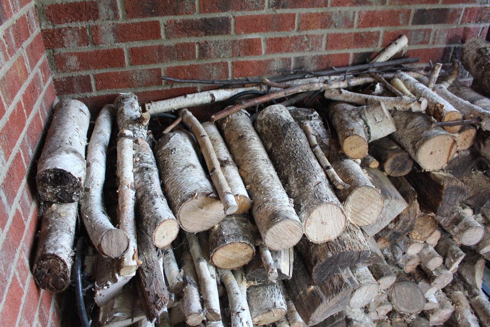 Birch Wood in Metal Holder