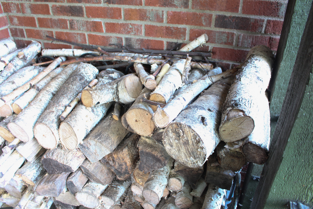 Birch Wood in Metal Holder