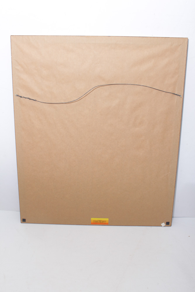 Framed Floral Artwork Collection