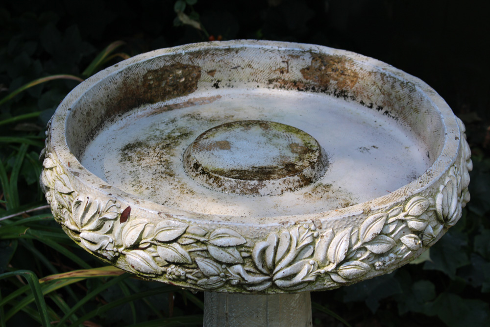 Birdbath and Bench