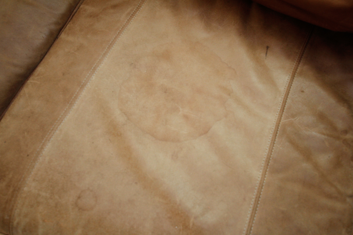 Contemporary Brown Leather Sofa